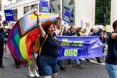 Marching at pride 500 x 333
