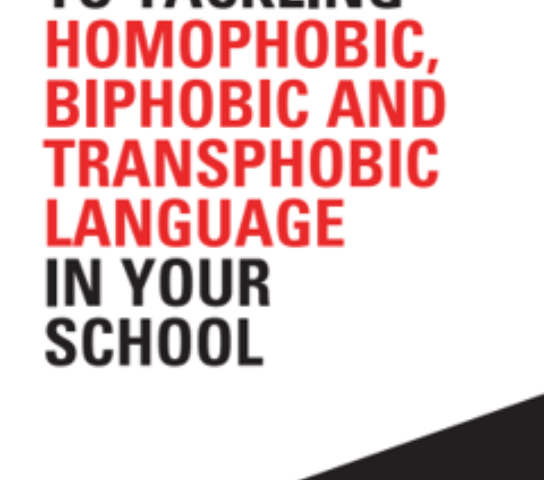 Front cover of the 10 steps guide.