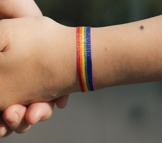 Hold my hand_stonewall homepage banner