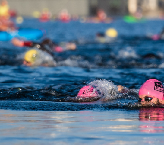 People wearing wetsuits swimming in open water