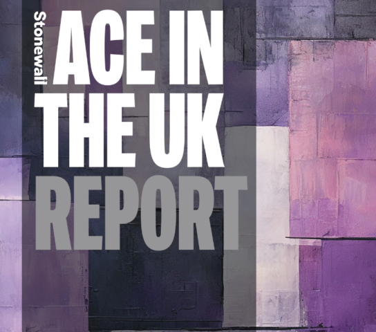 Ace in the UK report cover.