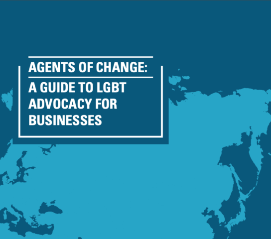 Business Advocacy Guide cover.