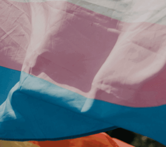 The trans flag - white, pink and blue horizontal stripes - being help up outdoors.