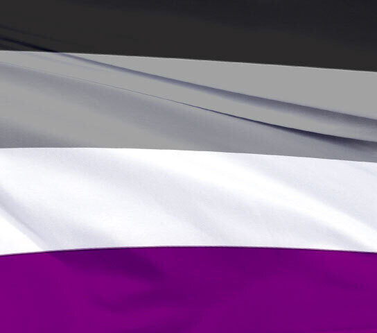 The Ace flag: horizontal stripes of black, grey, white and purple.