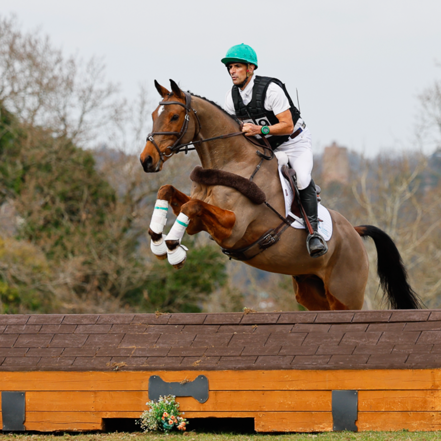 SB equestrian