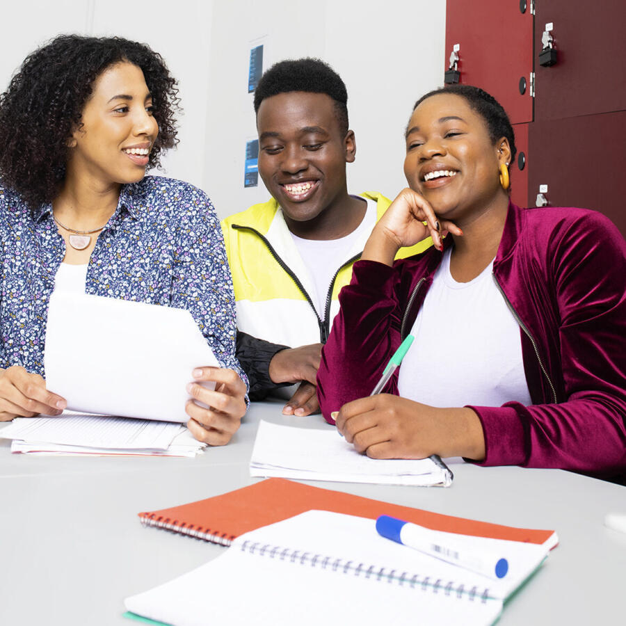 Inclusive places workplace 1