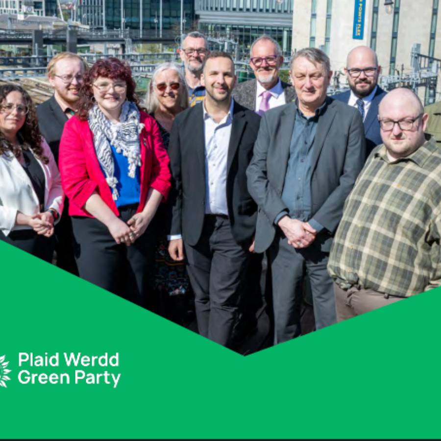 Wales Green party manifesto