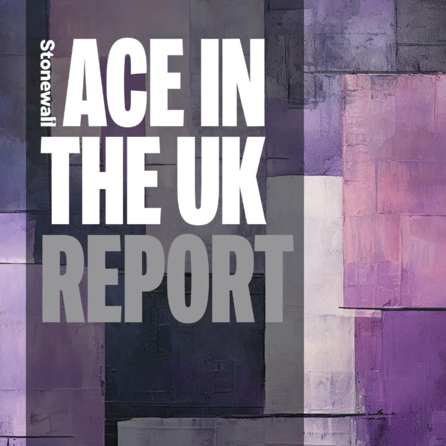 Ace report cover 2
