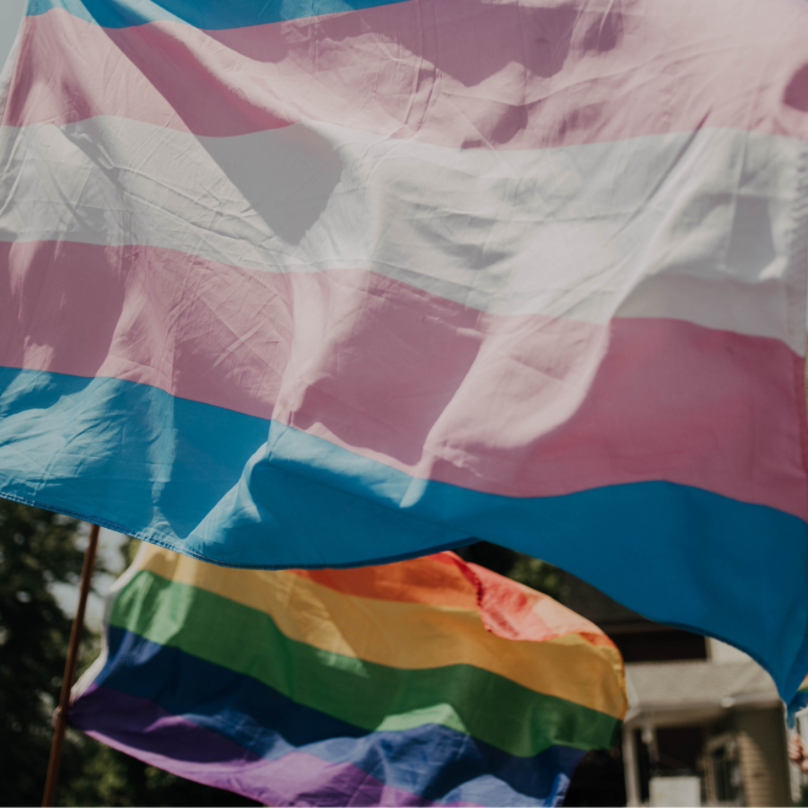 Trans flag and pride flag