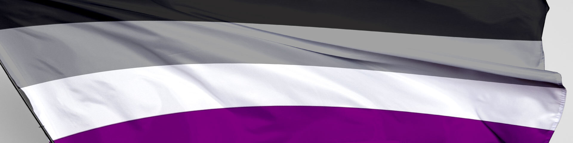 The Ace flag: horizontal stripes of black, grey, white and purple.