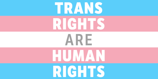 Trans rights are human rights graphic