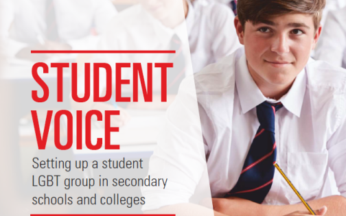Front cover of student voice guide