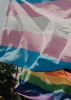 Trans flag in front of a rainbow flag in a sunny street