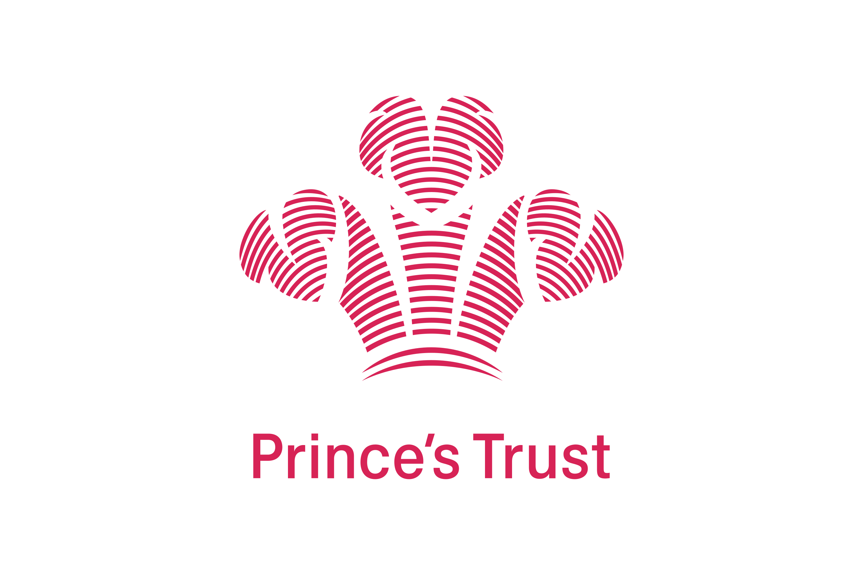 The Prince's trust logo